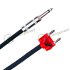 Speaker Cable