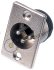XLR Socket