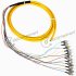 Fiber Optic Patch Cord